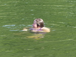 FZ017045 Jenni swimming in the Mosel.jpg